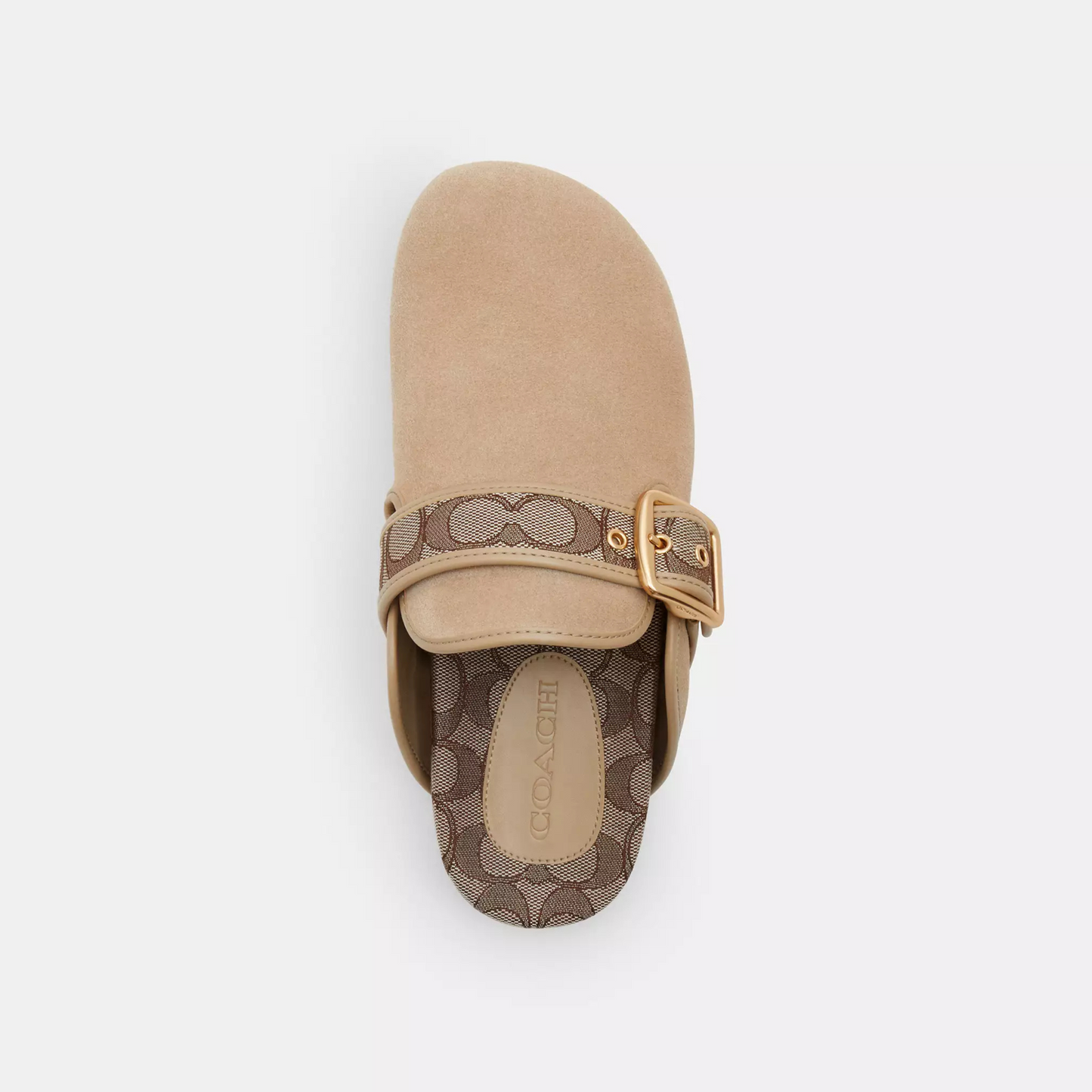 Coach Buckle Clog